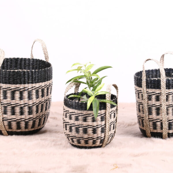 Seagrass Planter