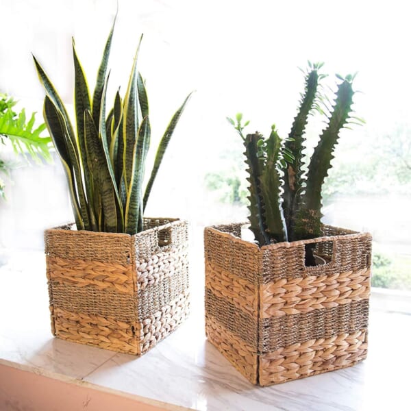 Water Hyacinth Basket