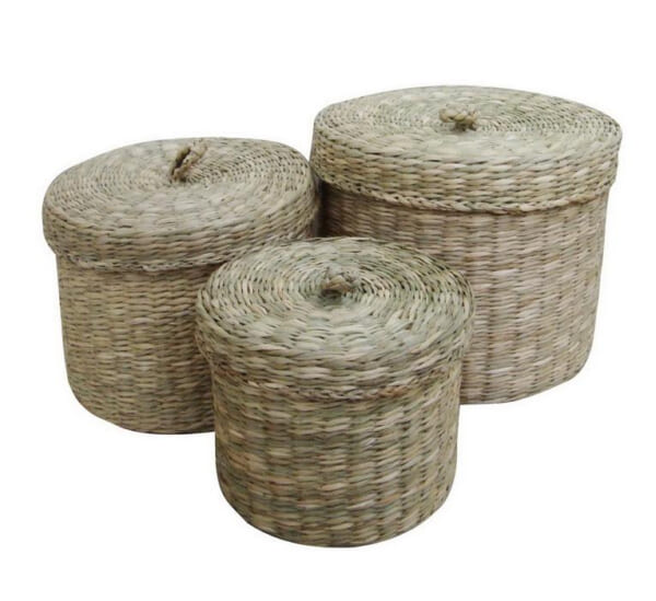 Seagrass Box