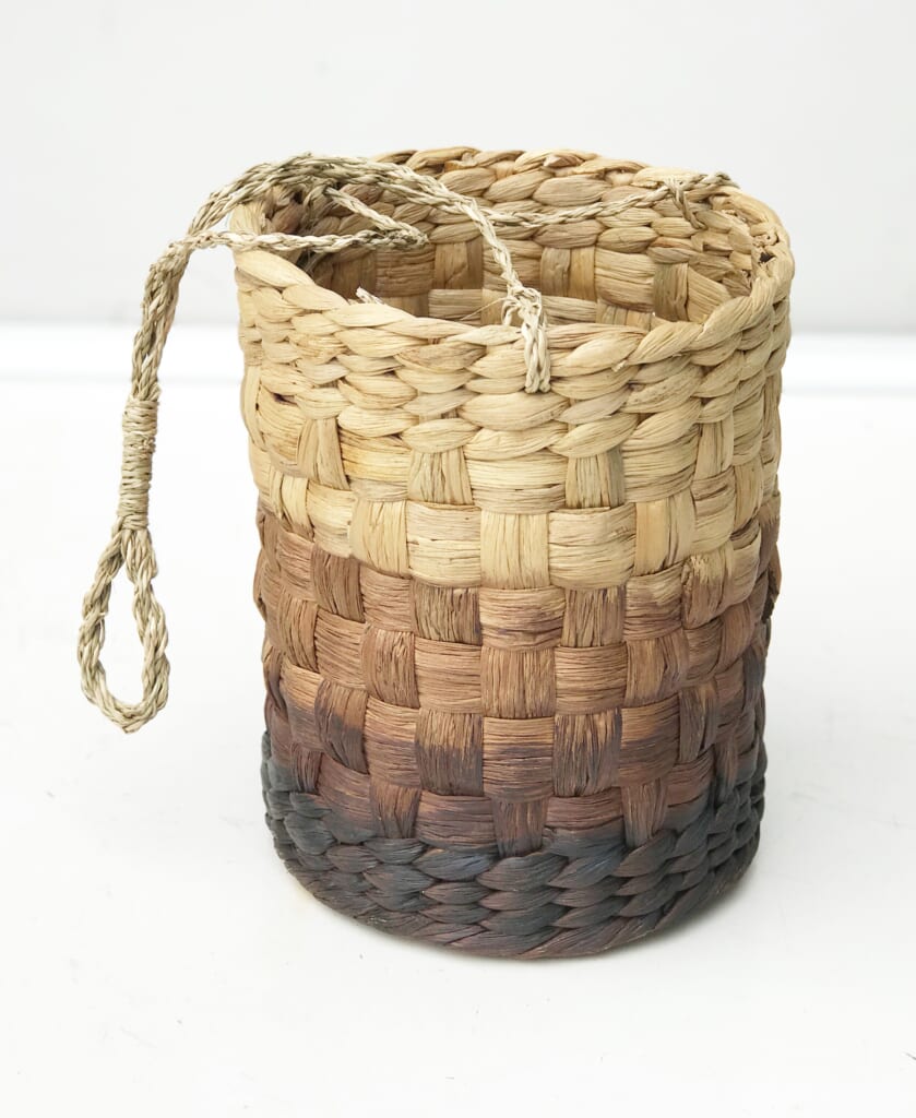 NATUURLIJK LEVENDE WATERHYACINT CACTUS 45X25XD9CM