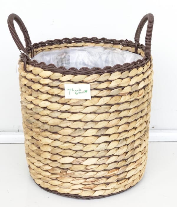 Water Hyacinth Planter