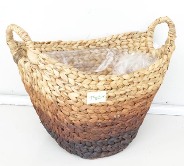 Water Hyacinth Planter