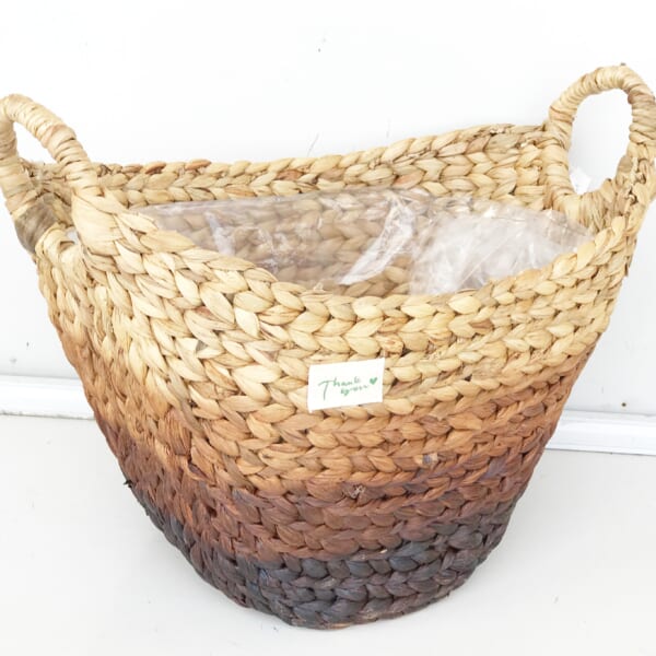 Water Hyacinth Planter