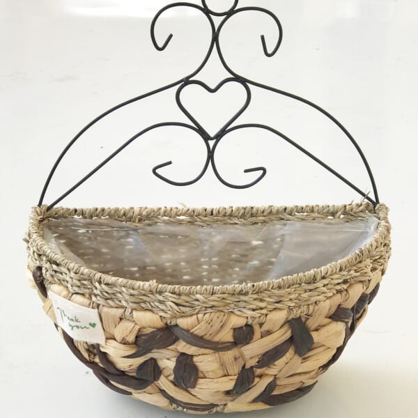 Water Hyacinth Planter