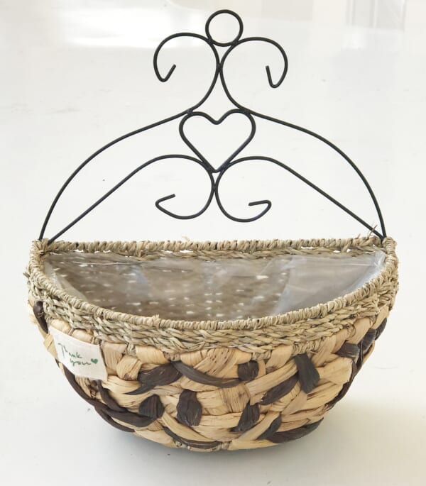 Water Hyacinth Planter